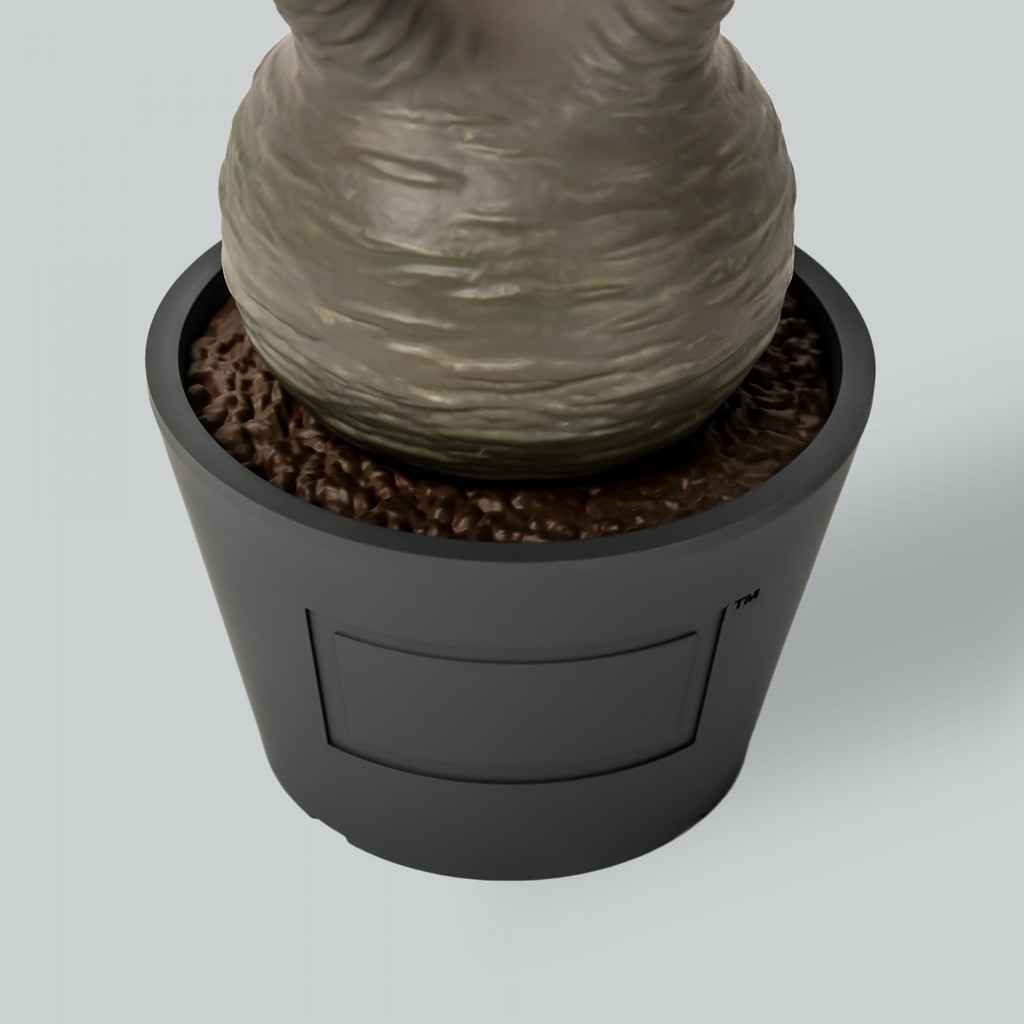 グラキリス VCD Pachypodium Gracilius Var.1LDK