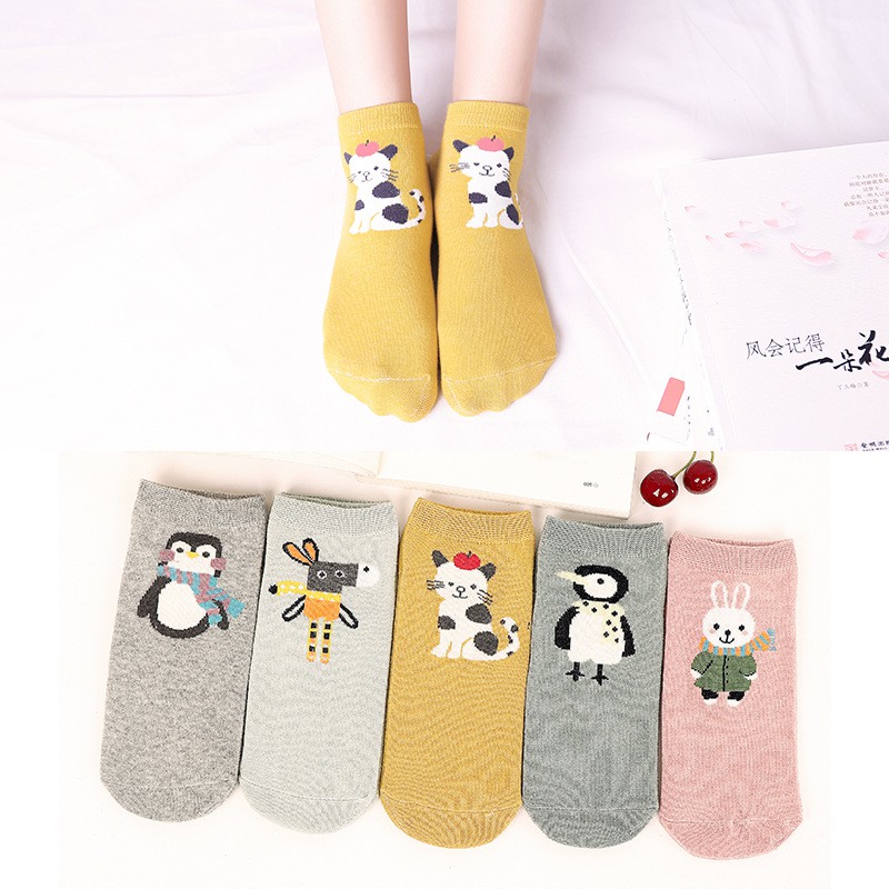 Cartoon Cotton Socks Autumn Spring Short Ankle Socks Adult Women Socks  Wholesale | Shopee Singapore