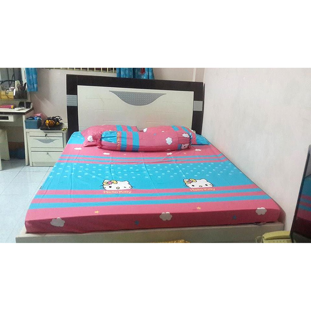 Set of 2 pillows 160x200cm 100 cotton (FSAE) Shopee Singapore