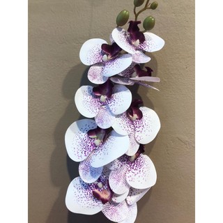 Shop Malaysia 9 Head Ori Bunga Orkid Latex 3d 9 Head Orchid Latex 3d Artificial Orchid Artificial Flower Bunga Hiasan Hantaran Shopee Singapore