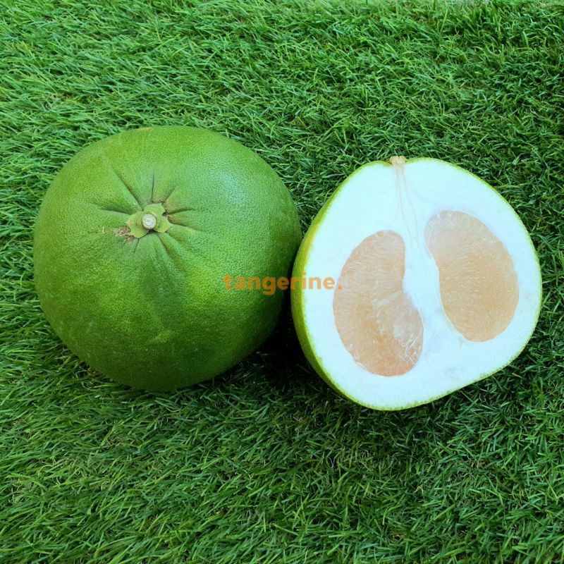 Tangerine Pink Flesh Malaysia Pomelo Shopee Singapore