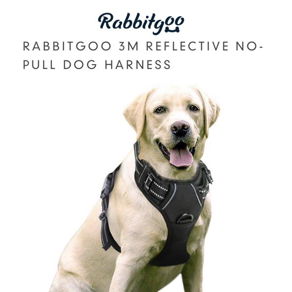 Rabbitgoo Dog Harness 3m Reflective No Pull Pet Harness Adjustable Outdoor Pet Vest Oxford Material Vest For Dogs Shopee Singapore