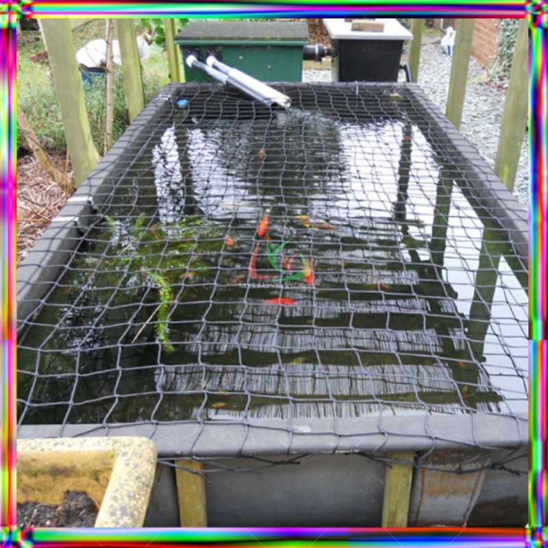 4Inch Thick Koi Fish Pond Net Cover / Guaranteed Quality Shopee Singapore