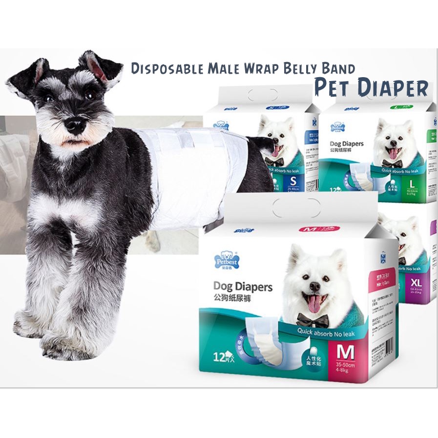 Can Male Dogs Incontinent