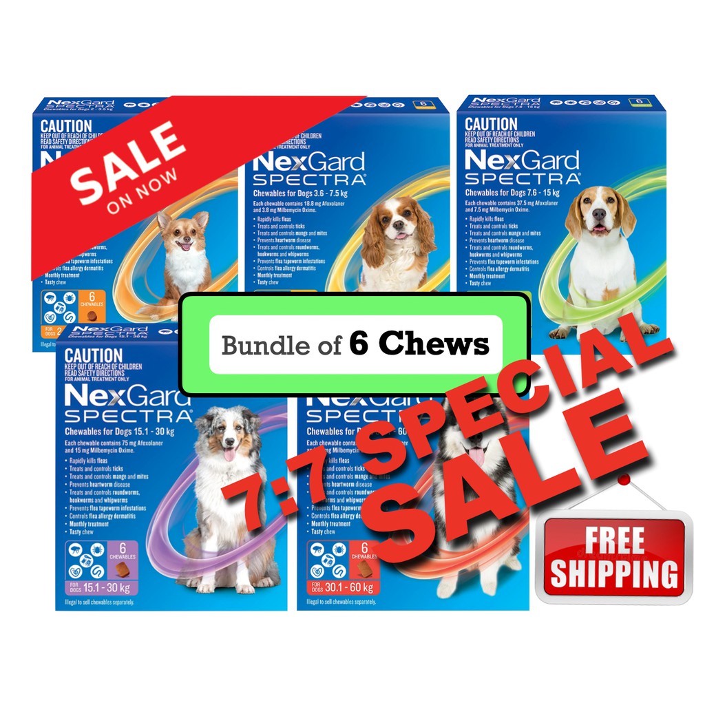 Nexgard Heartworm Flea And Tick