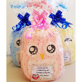 Goodie bag, Birthday goody bag; owl lunchbox for kids, useful gift, Christmas gift