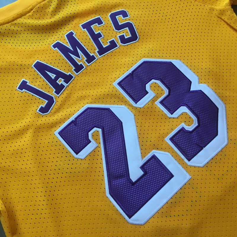 lebron james lakers jersey mitchell and ness