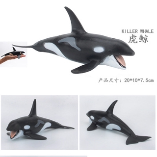 Lifelike Baby Shark Toy Antistress Big Shark Collection Toy For Kids Children Gift Animal Toy Shopee Singapore