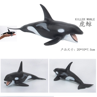 Lifelike Baby Shark Toy Antistress Big Shark Collection Toy For Kids Children Gift Animal Toy Shopee Singapore