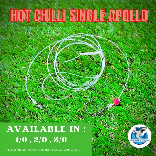 30 LBS HOT CHILLI SINGLE APOLLO FISHING RIG PATERNOSTER RIG Shopee