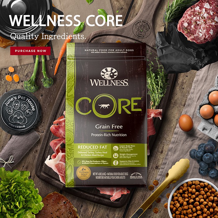 Wellness core grain free reduced fat