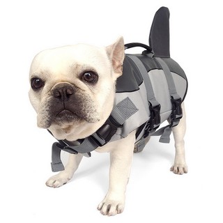 funny dog life jacket