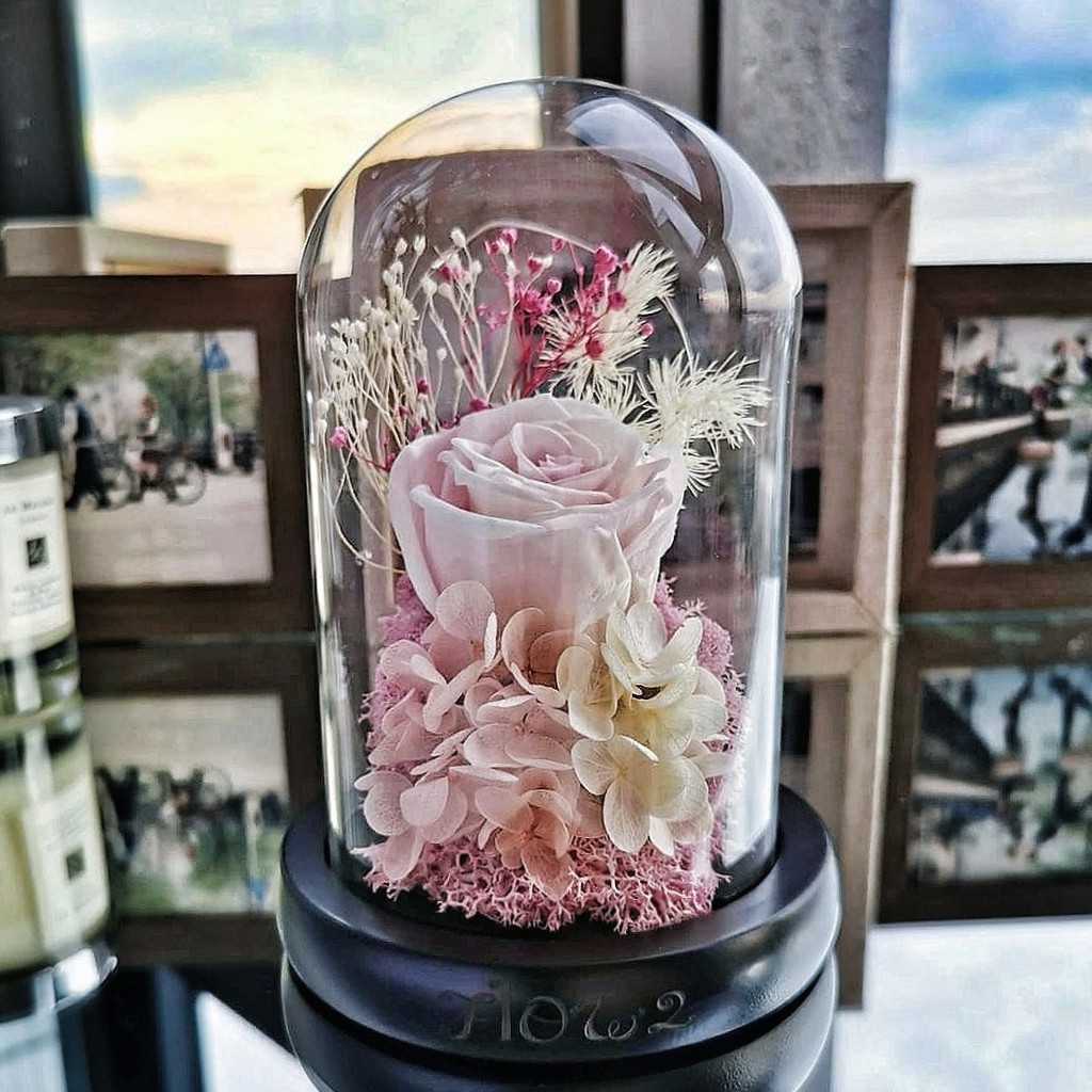 Preserved Flower Glass Dome Mother's Day Dried Rose Anniversary