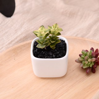 Mini Ceramic  Pot  Simple White Creative Small Square 