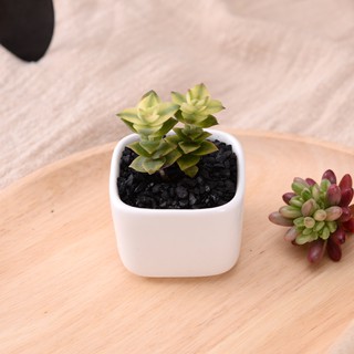 Mini Ceramic Pot Simple White Creative Small Square Mini Ceramic Pot Simple White Creative Small Square