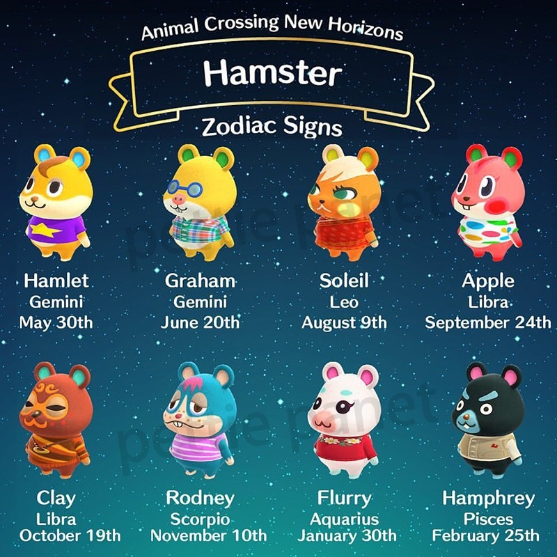 Animal Crossing Amiibo Card Hamster Set Villagers New Horizons Games Cards  Series Switch Ns Apple Flurry Clay Rodney Hamlet Soleil Graham Hamamphrey |  Shopee Singapore