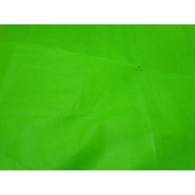 Greenscreen Green Screen Background Screen 85 Gram Backdrop Price Per 0 5x1 6 Meters Shopee Singapore