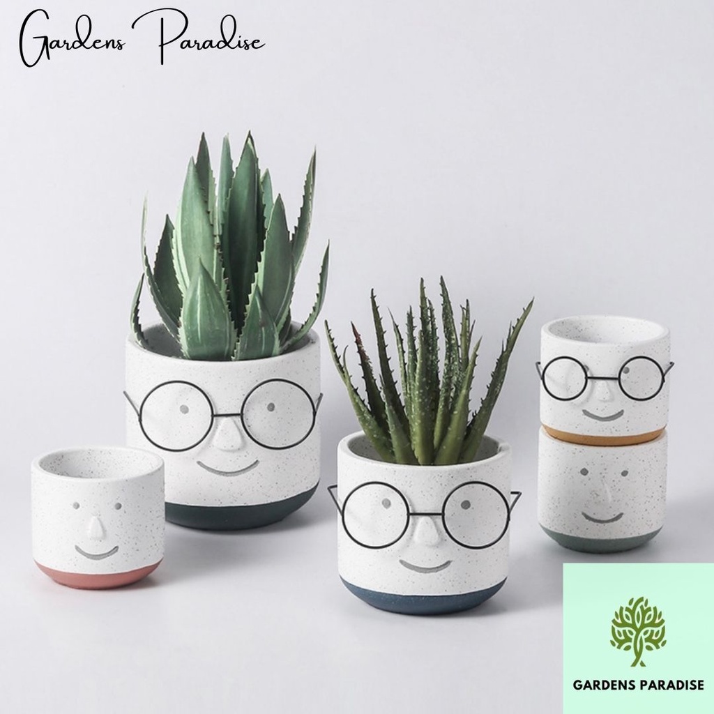 Harry Potter Cute Glasses Smiling Ceramic Gardening Pot Aesthetic Home Design By Gardens Paradise Shopee Singapore
