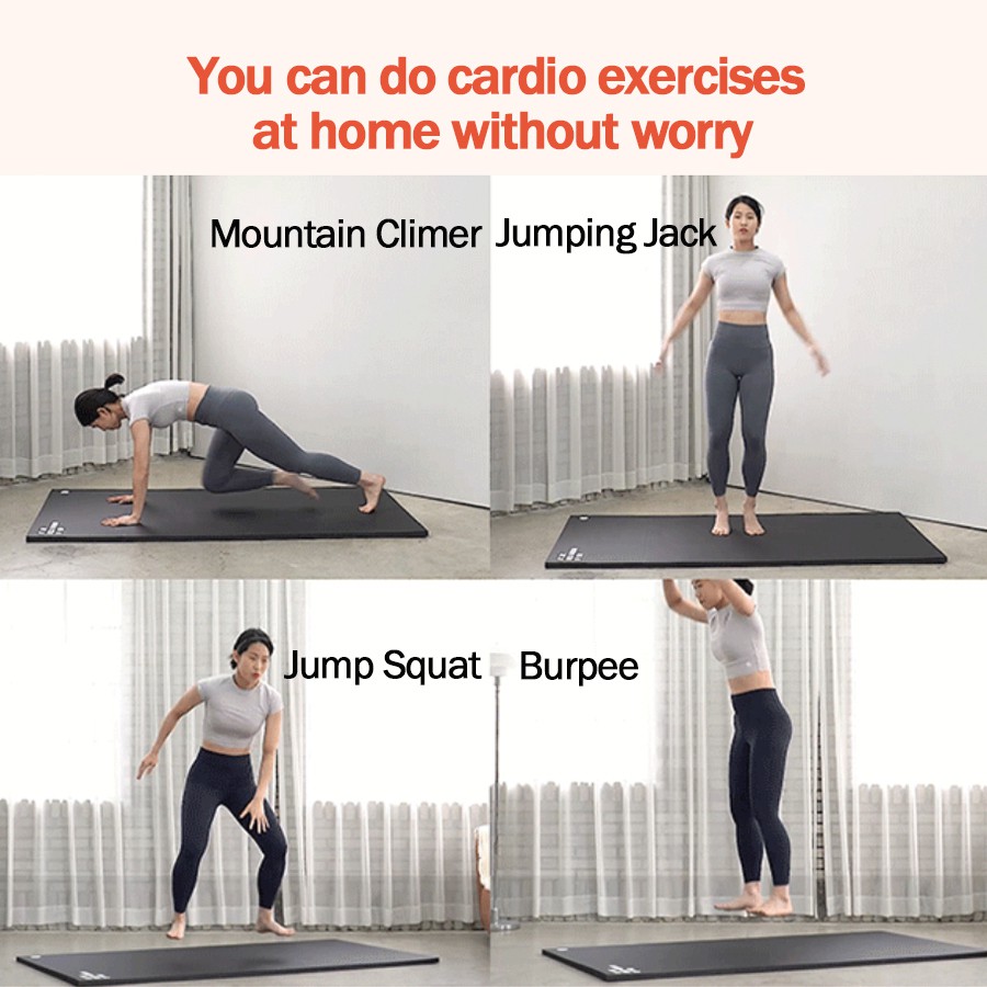 Dano Soundproof Exercise Mat Original Wide For Home Training Made In Korea Shopee Singapore