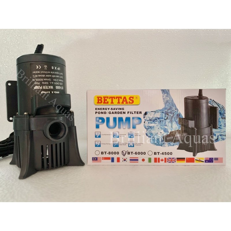 BETTAS BT-6000 Submersible Water Pump 