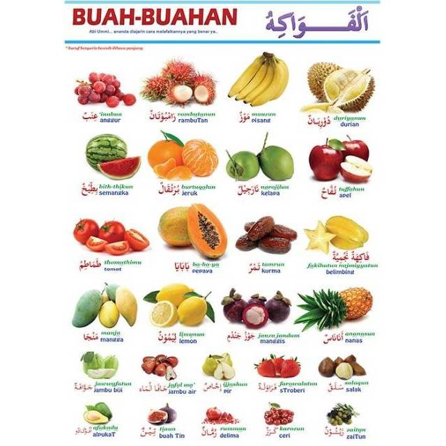 Educational Poster Learning Muslim Child Islamic Sunnah Indonesian Arabic Name Counting Worship Shopee Singapore