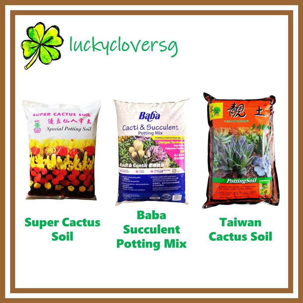 Cacti And Succulent Potting Mix / Baba (1.8kg / 7L) / Taiwan (2kg / 6L