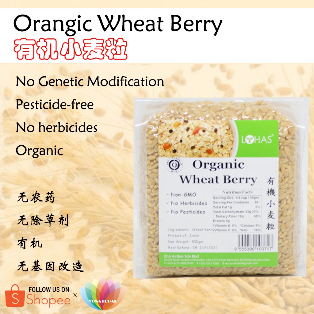 Shop Malaysia Lohas Organic Wheat Berry 有机小麦粒500g Shopee Singapore