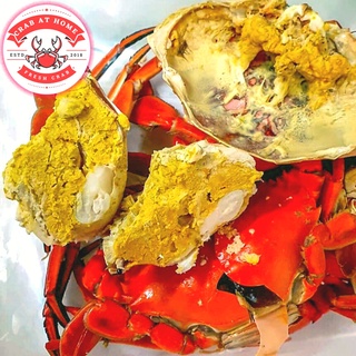 [ Crab At Home ]  100% Guarantee Money-Back Premium Double Shell Crab 300g SUPPORT LOCAL Seafood