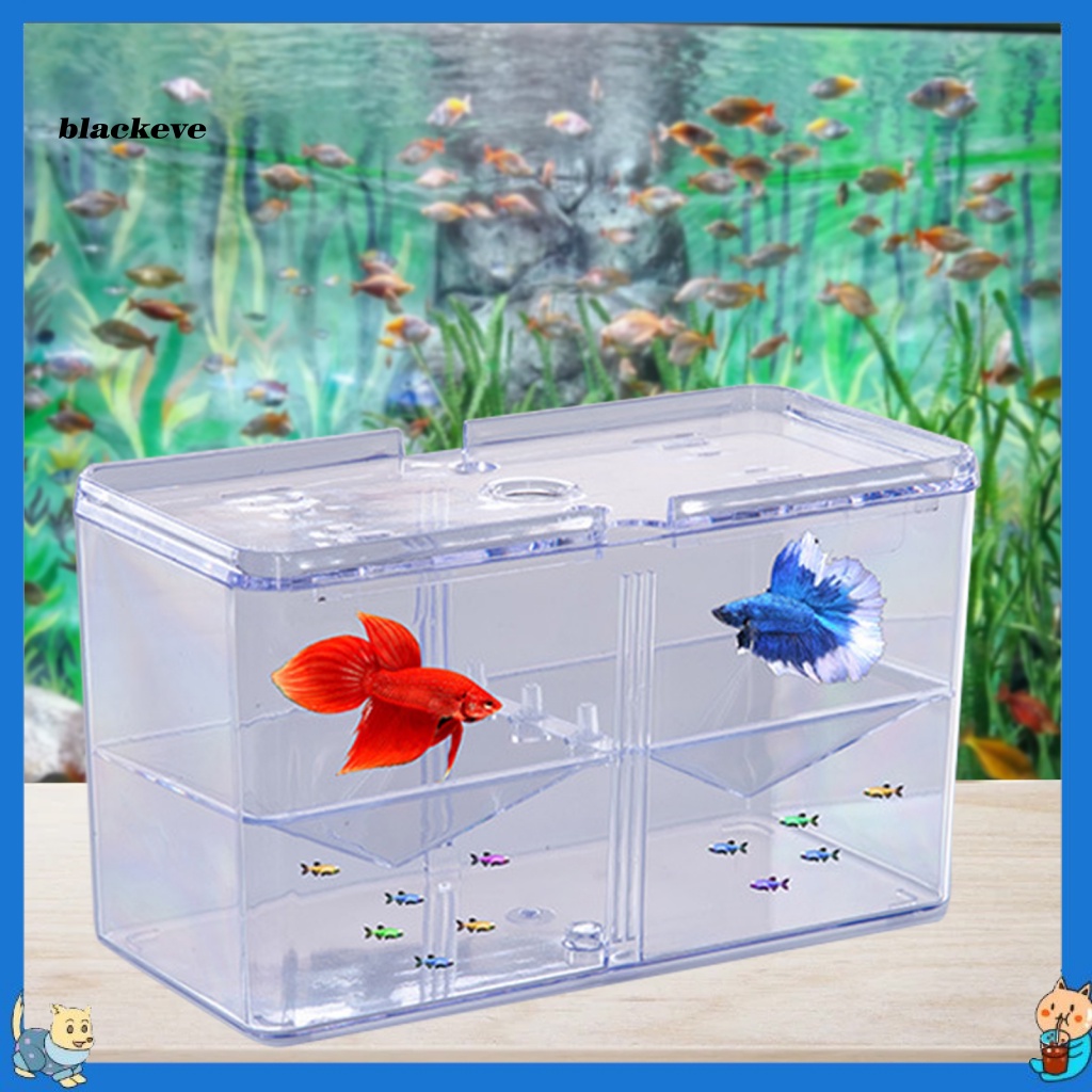 BL- Acrylic Fish Tank Fish Hatching Box Aquarium Incubator Anti-deformation