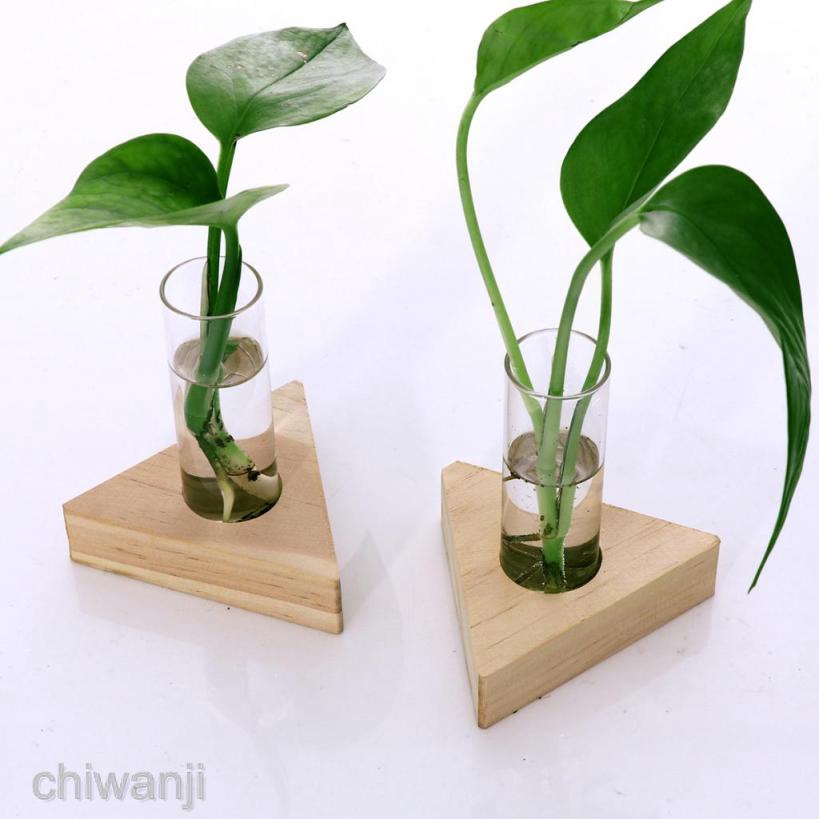 2pcs Planter Test Tube Flower Bud Vase Tabletop Glass Pots in Wooden Stand