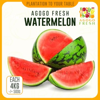 [Agogo Fresh - Fruit] Watermelon (Red) (4kg)