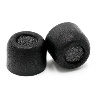 comply momentum true wireless 2
