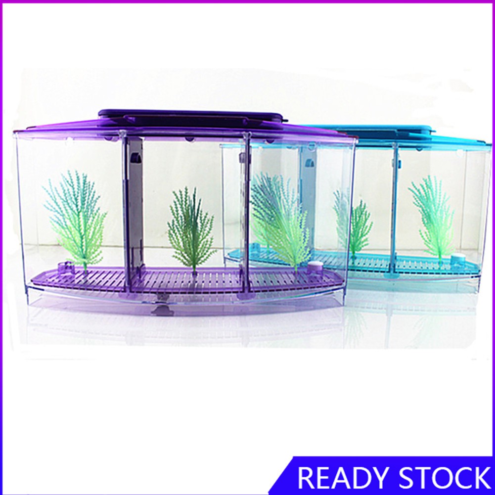 Aquaponics tank singapore Megatrends in the Global Nanobubbles Ultrafine Bubbles Market