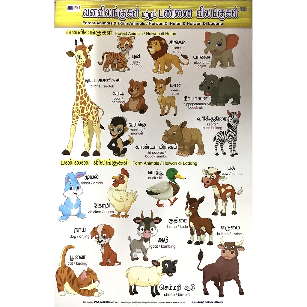 Forest Farm Animals With Tamil English Bm Words Chart Mind To Mind Shopee Singapore