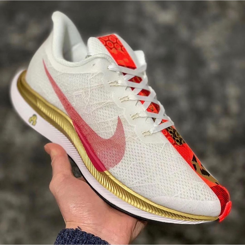 pegasus turbo cny