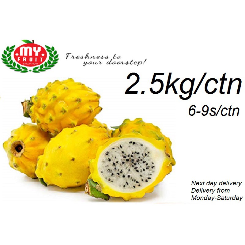 My Fruit Ecuador Yellow Dragon Fruit Pitaya 6 9pcs 2 5kg Ctn Shopee Singapore