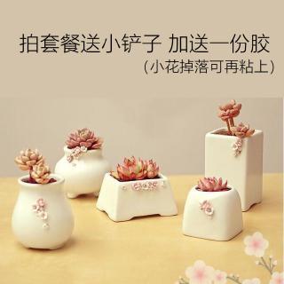 Simple White Creative Mini Succulent Ceramic Tabletop Oblique Small Flower Pot Ceramic Pot Small Square Succulents Flowers Plant Multi Meat Plant Small Flower Pot Ceramic Meat Pot Personality Sticky Flower Creative Small Small Fresh