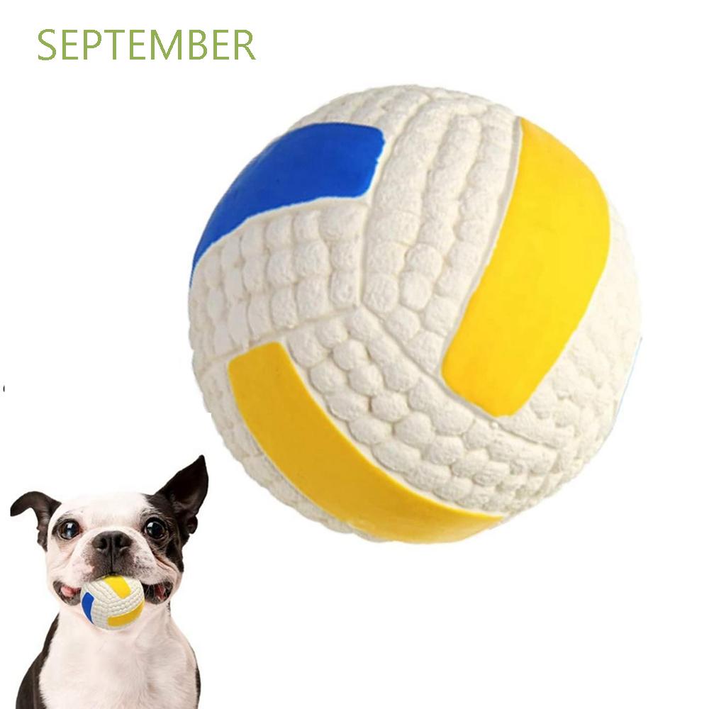 fetch dog supplies