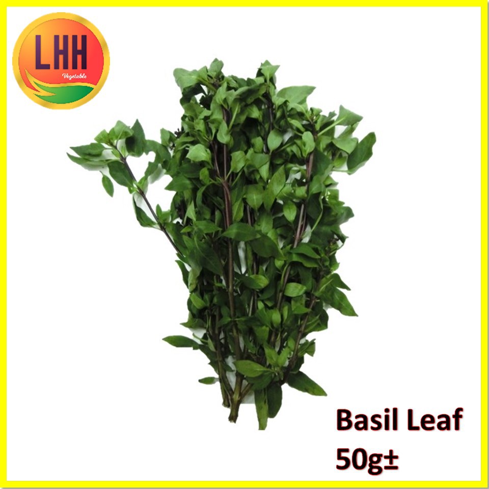 LHH Basil Leaf 50g Vegetable Shopee Singapore