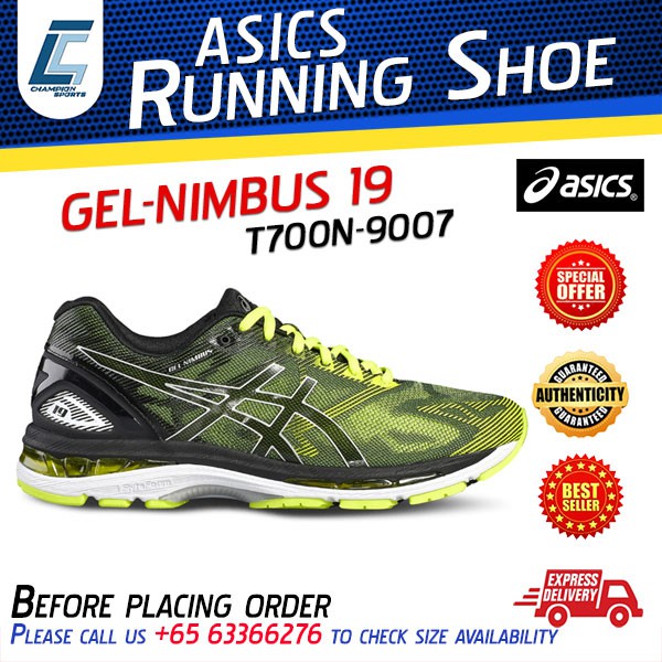 asics gel nimbus 19 t700n