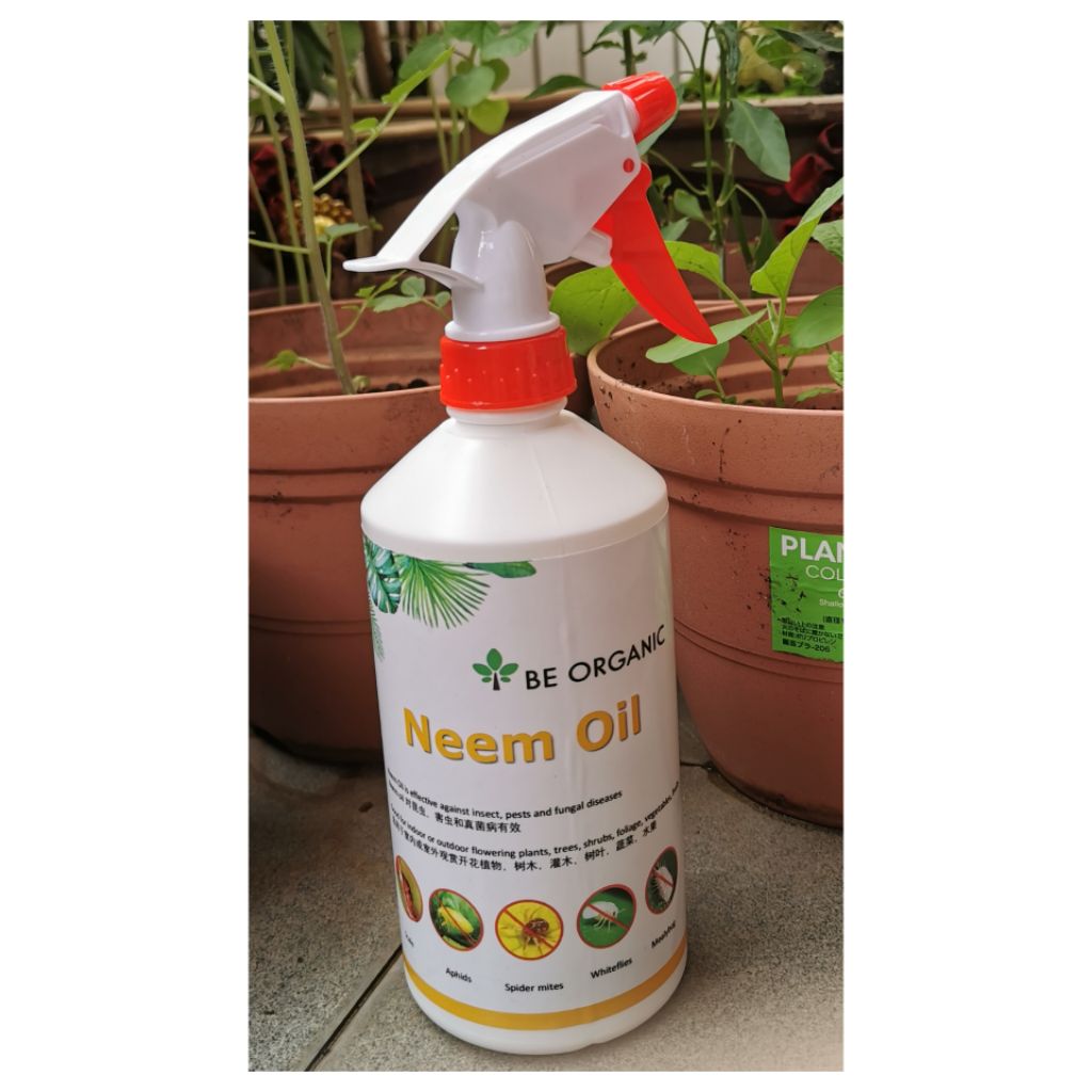 Neem Oil (plant insects repellant) | Shopee Singapore