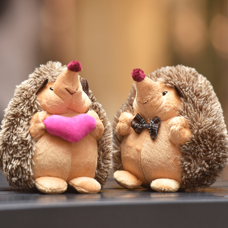 big hedgehog plush