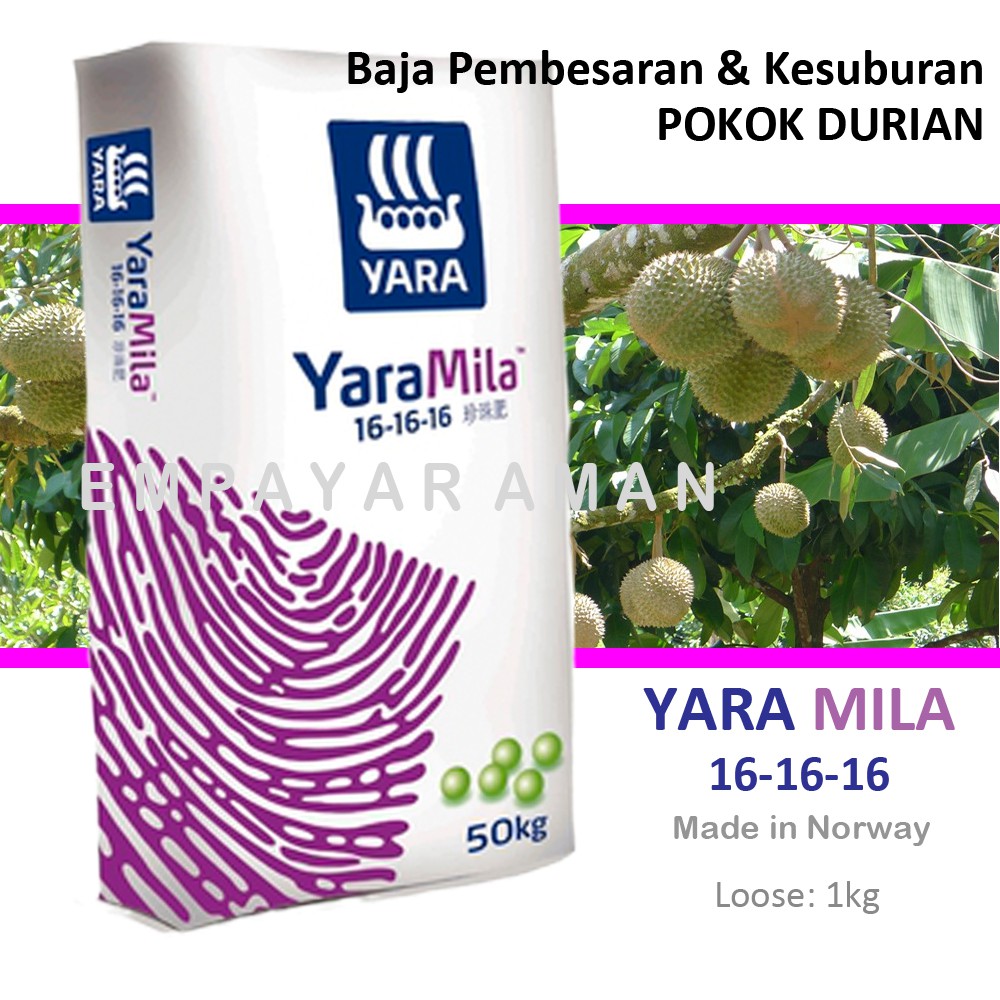 Durian Yara Mila 16 16 16 1kg Loose Pack Shopee Singapore