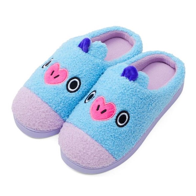 room slippers