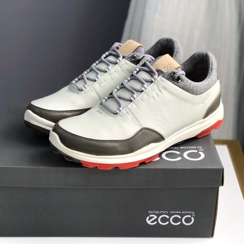 ecco sg