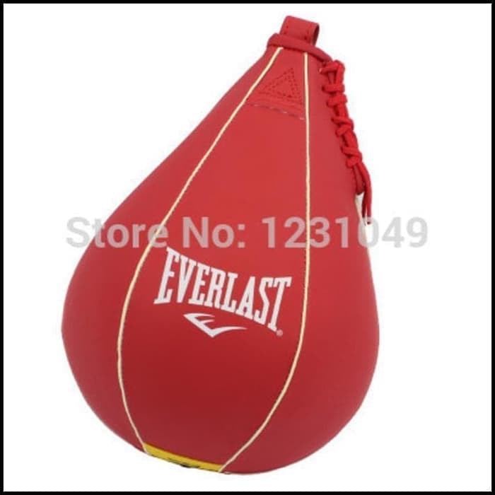 everlast boxing ball