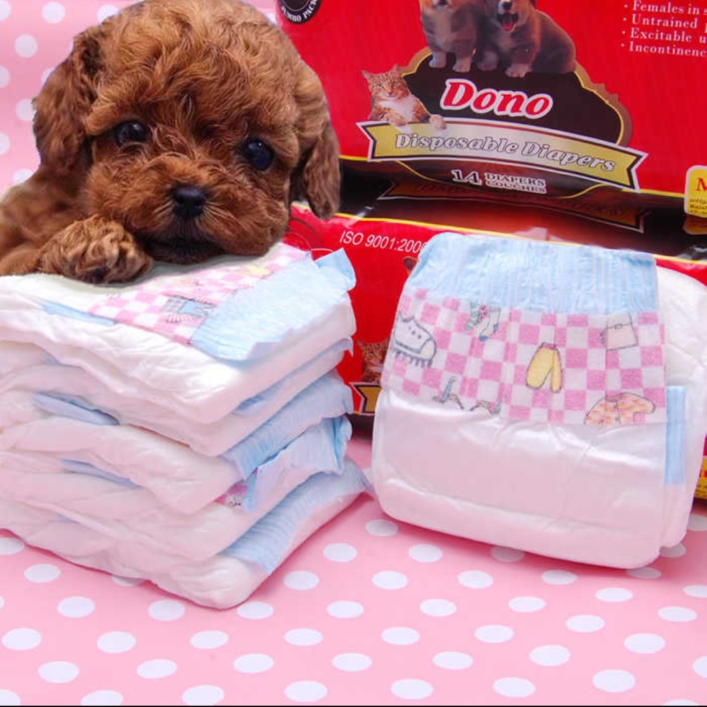 teacup puppy diapers