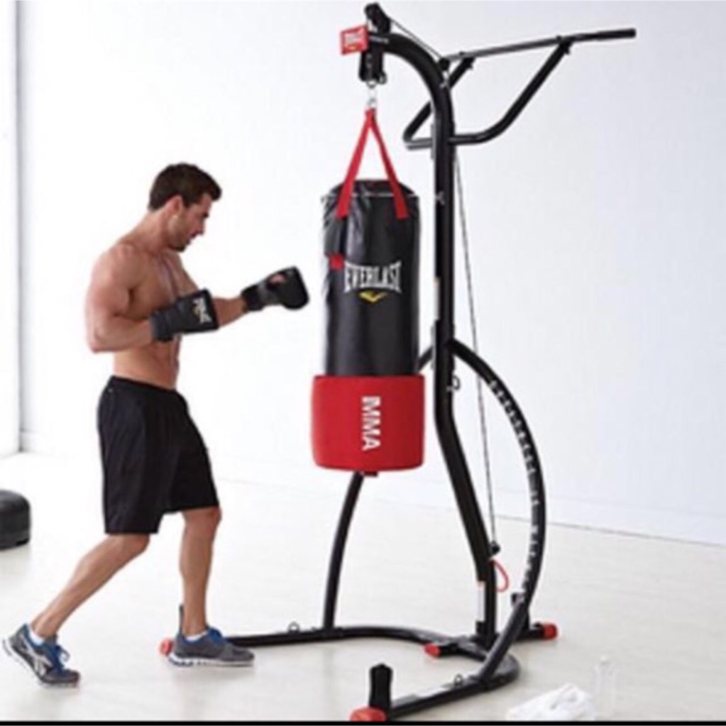everlast fit punching bag