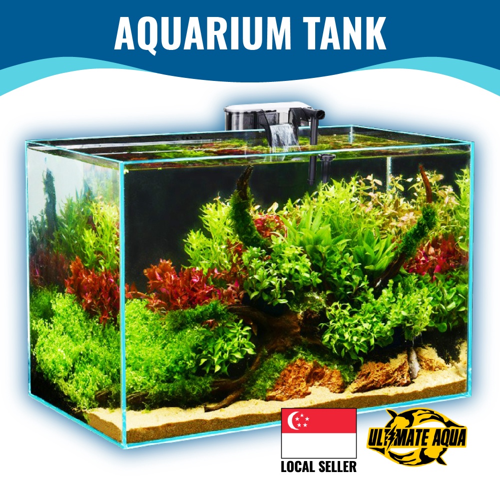 fish tank Prices and Deals Feb 2023 Shopee Singapore