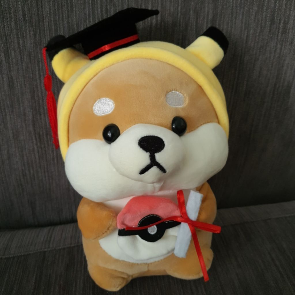 graduation puppy plush